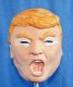 Donald Trump Foam Latex Halloween Mask!