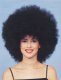 Very Cool Afro  Wig