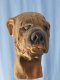 Bully Foam Latex Mask Bully Foam Latex Mask