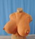 Opera Singer Giant Mastasia Style Breasts! Free Shipping Opera Singer Giant Mastasia Style Breasts! Free Shipping