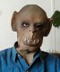 Org Foam Latex Mask Org Foam Latex Mask